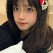 日子全都给了猫