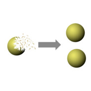 Banach-Tarski Paradox