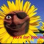 DEMOFLOWER