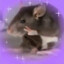 JoyMouse