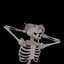 Skeleton