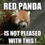 RedPanda