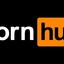 pornhub.exe