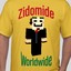 zidomide