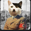 Kitler tab ya klab