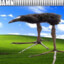 HuntsMann