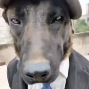 estr1p3r - steam id 76561199195142453