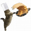 Gatito cocinero