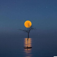 春风得意马蹄疾