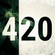 Ｔｗｕｊ　ｔａｔａ