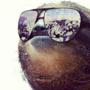 Dave The Sloth's avatar