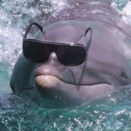 Falcon Heavy - steam id 76561198062660094