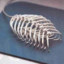 scaphoide