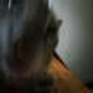 fat cat avatar
