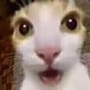 郁金香也没有她的浴巾香