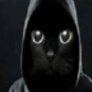 vovik