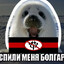 тюлень anti furry