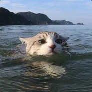 晒太阳的大兔子