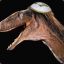 iJewasaurus