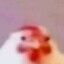 zelph