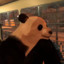 CoolPanda