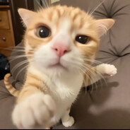 这是国内谁敢开枪