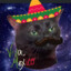 Señor Cat