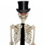 Mr. Skelebones