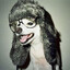 dapperllama13