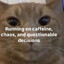 Mitch_Murder