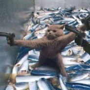 别动爷的小鱼干 clear love