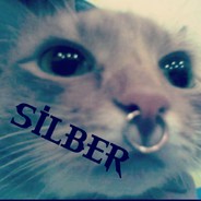 silber0