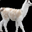 hyperactive-llamas