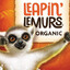 Larping Lemurs
