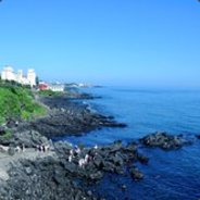 宇宙无敌帅的美朝