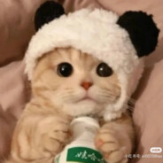 随机弹道受害者