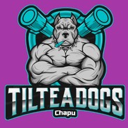 Chapu Steam avatar