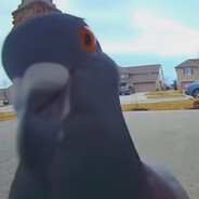 MrListerTheSisterFister