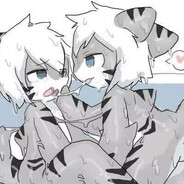 最爱崽崽是只喵鲨