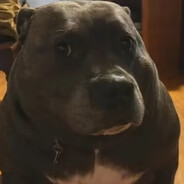 年復一年，一步一步