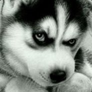 重案组之虎曹达华