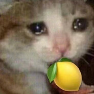猫的柠檬