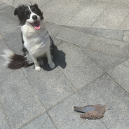 先杀后歼，最后煮熟吃