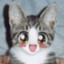 Rizi