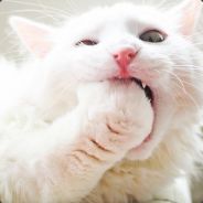 Miller - steam id 76561197964490039