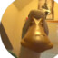 bigduck3170