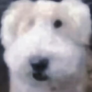 neomiester