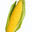 CORN COB