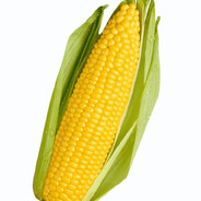 CORN COB