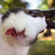 少玩手机多睡觉